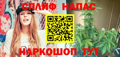 прущие грибы Краснознаменск