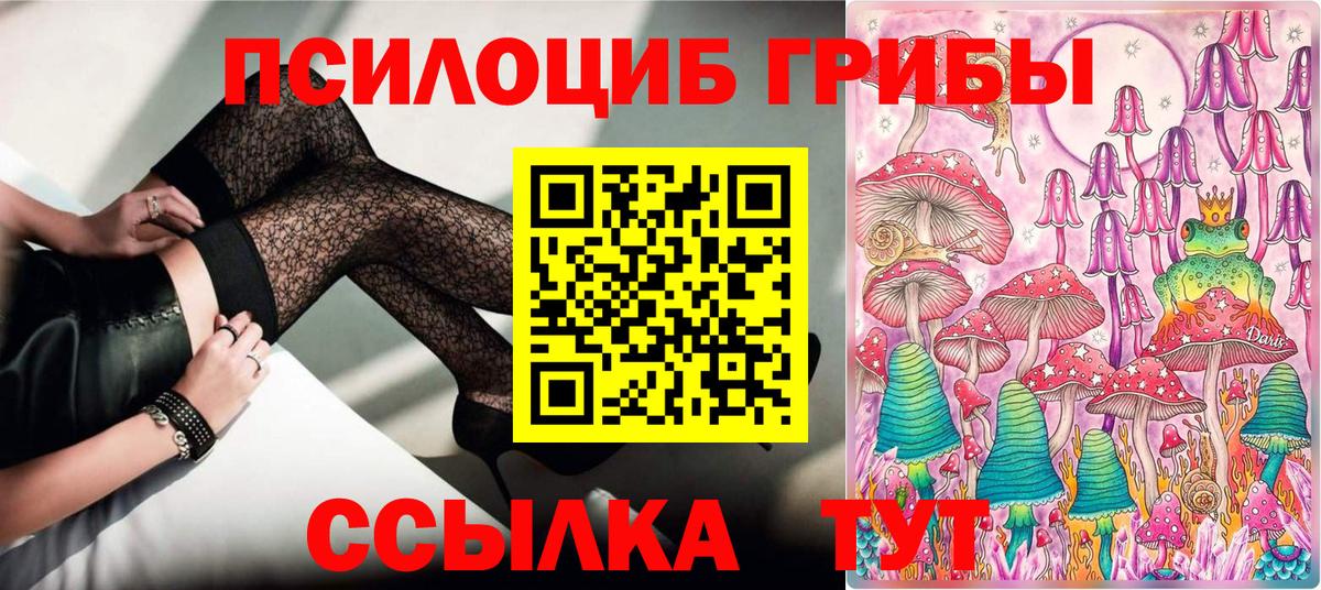 Ишим  продажа наркотиков  Вход с VPN  Псилоцибиновые грибы мицелий 