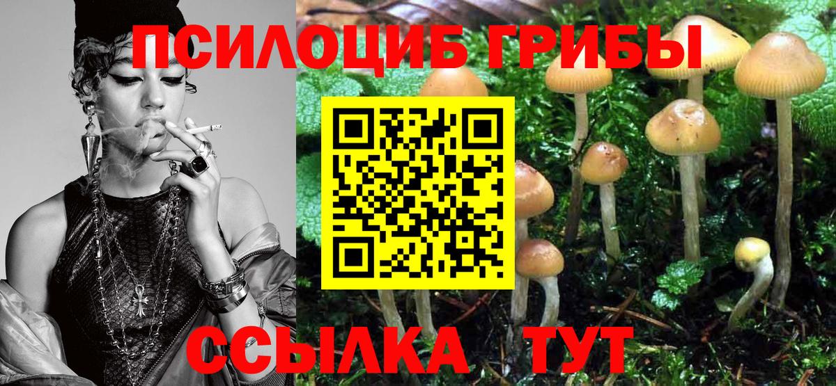 Псилоцибиновые грибы мицелий Ишим